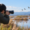 マイクロフォーサーズの超望遠レンズで野鳥を撮影する日本人男性